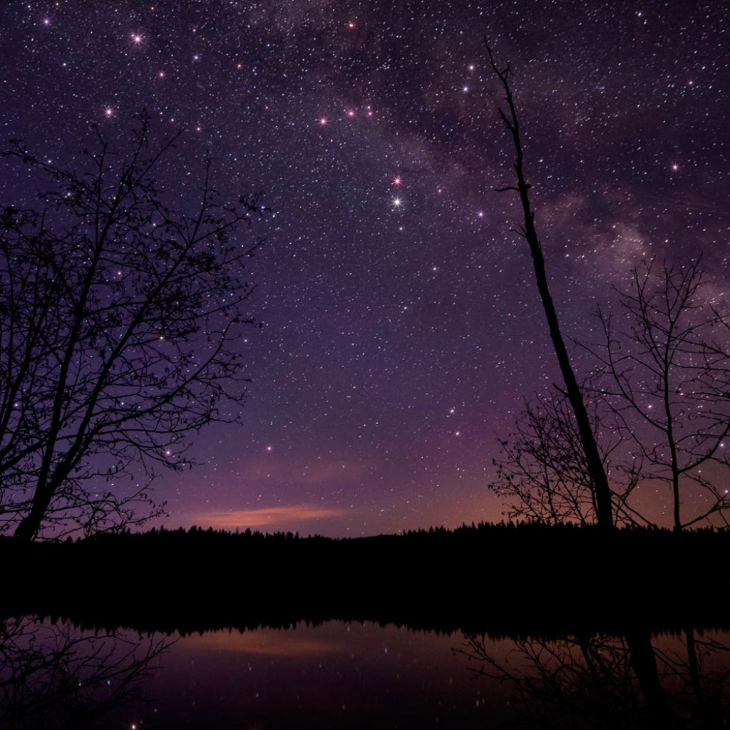 experiencia starlight molino la nava 01